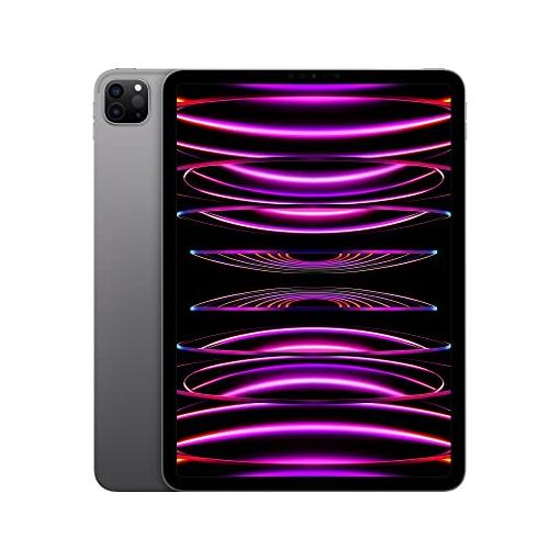 Bild von Apple iPad Pro 11" Wi-Fi 2022 1TB space grau