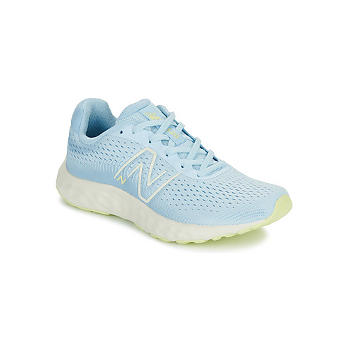 Bild von New Balance Herrenschuhe 520 – Komfortabel und stylisch für aktive Männer
