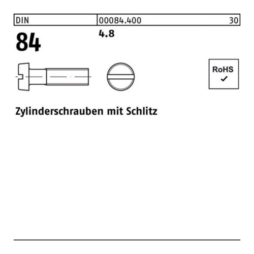 Bild von Reyher Zylinderschrauben 1000er Pack – M5 x 22 DIN 84/ISO 1207 mit Schlitz