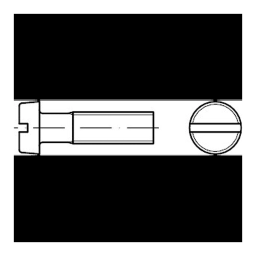 Bild von Zylinderschrauben ISO 1207 von Reyher – M10 x 80 galvanisch verzinkt