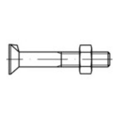 Bild von TOOLCRAFT Senkschrauben mit Nase M20 - Zuverlässiger Halt für Ihre Projekte