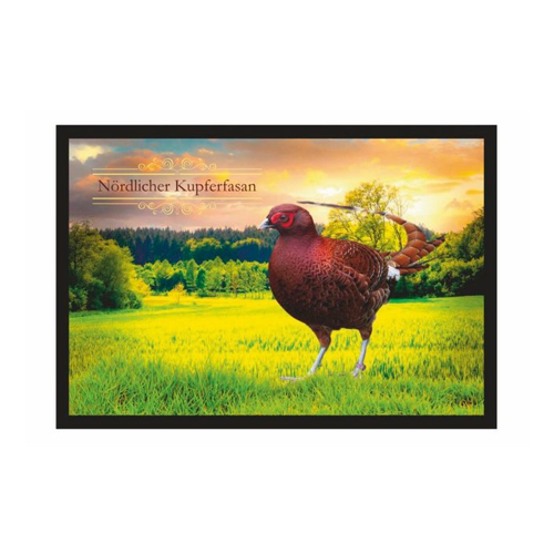 Bild von Ladreas Fußmatte Schmutzfangmatte Fasan Nördlicher Kupferfasan F2370, 60x40