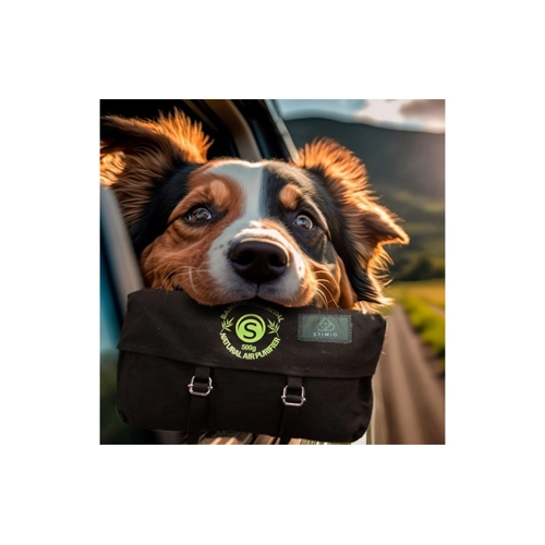 Bild von Luftentfeuchter Auto – Aktivkohle Geruchsentferner von Stimio