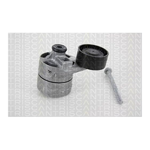 Bild von TRISCAN Spannrolle, Keilrippenriemen 8641 163018 - Produktcheck