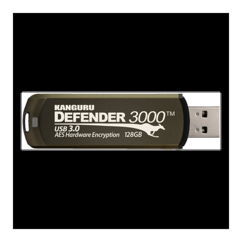 Bild von Kanguru Defender 3000 - 128GB USB-Stick im Test