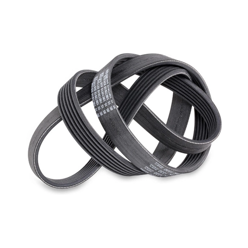 Bild von SKF Keilrippenriemen VKMV 4PK825 für NISSAN MICRA 3