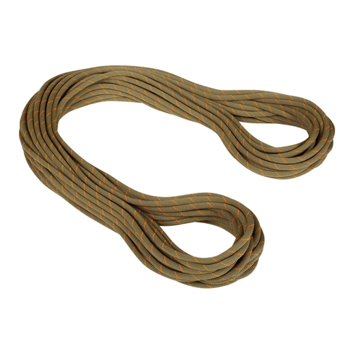 Bild von Mammut 9.9 Gym Workhorse Classic Rope - Kletterseil