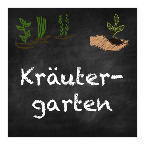 Bild von Die perfekte Beet-Box für Tee-Liebhaber von Samen Maier