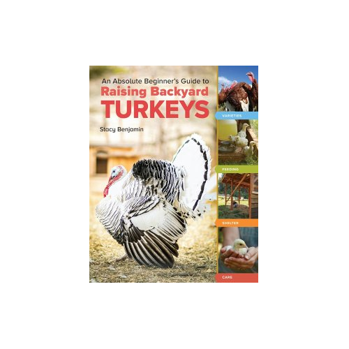 Bild von An Absolute Beginner's Guide to Raising Backyard Turkeys