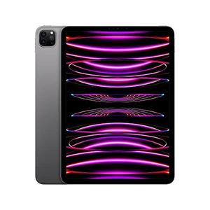 Bild von Apple iPad Pro 11" Wi-Fi 2022 1TB space grau