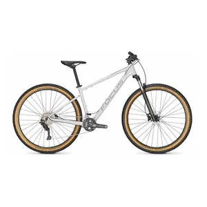 Bild von Focus WHISTLER 3.8 Diamond Light Grey 46 cm (29") - L 2022 Produkt-Check