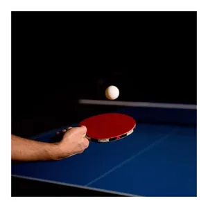 Bild von Butterfly Tischtennisschläger 1x Timo Boll Platin 85026 + Cell Case 1