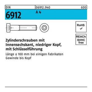 Bild von Zylinderschraube mit Innensechskant DIN 6912 aus Edelstahl A4 - M10 x 60mm