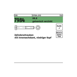 Bild von Zylinderschrauben DIN 7984 08.8 M 3 x 6 galvanisch verzinkt