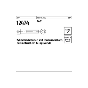 Bild von Zylinderschraube mit Innensechskant ISO 12474 aus Stahl 12.9 M10x1 x 100mm