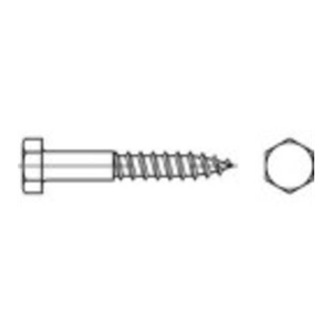 Bild von TOOLCRAFT 1061319 Sechskantschrauben 12mm 180mm Außensechskant DIN 571 Edelstahl A4