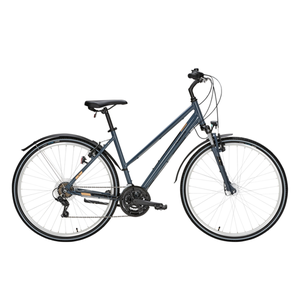 Bild von Pegasus Avanti Sport 18 Damen Trapez grau 2022/2023 – Ein sportliches Fahrrad für vielseitige Einsätze