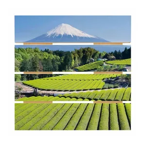 Bild von Holzbild Plankenoptik Teefelder vor dem Fuji
