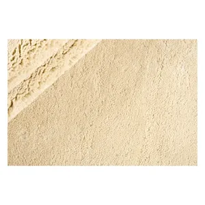 Bild von Nain Trading Designteppich Arctic 251x299 Handgeknüpfter Moderner Orientteppich