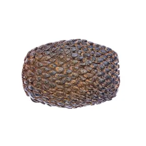 Bild von Cassandra Accessoires Gürtelschnalle "Armadillo" mit Schuppen-Optik