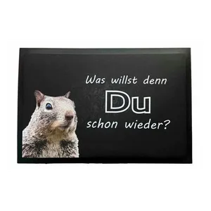 Bild von Ladreas Fußmatte Schmutzfangmatte rutschfest Du schon wieder F053, 60x40