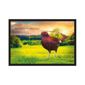 Bild von Ladreas Fußmatte Schmutzfangmatte Fasan Nördlicher Kupferfasan F2370, 60x40