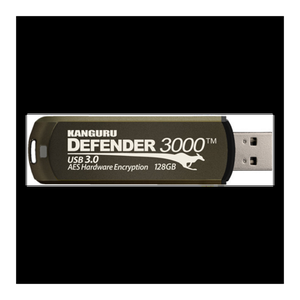 Bild von Kanguru Defender 3000 - 128GB USB-Stick im Test