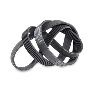 Bild von SKF Keilrippenriemen VKMV 4PK825 für NISSAN MICRA 3