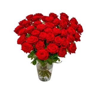 Bild von 30 Rote Rosen - Premium Red Naomi