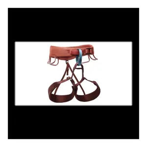 Bild von Black Diamond Momentum Harness – Damenklettergurt in Baja Sunrise