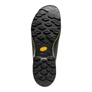 Bild von La Sportiva TX4 Evo GTX – Robuste Herrenschuhe für Outdoor-Enthusiasten