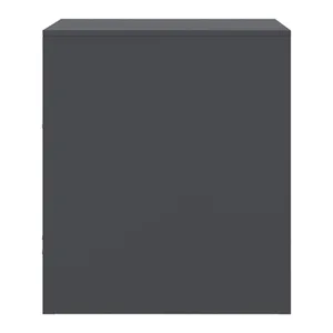 Bild von vidaXL Nachttische 2 Stk Schwarz 34,5x39x44 cm Stahl