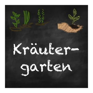 Bild von Die perfekte Beet-Box für Tee-Liebhaber von Samen Maier