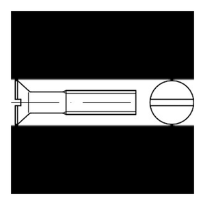 Bild von Senkschrauben DIN 963 A 2 M 5 x 8 A 2 Edelstahl A2 – Der perfekte Schraubenpartner für Ihr Projekt